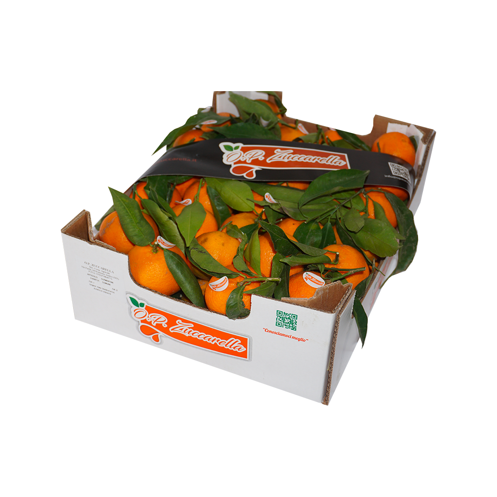 Clementine (Cal 2) | 6Kg