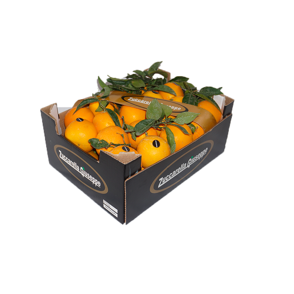 Double Layer Oranges (Cal 4) | 10Kg