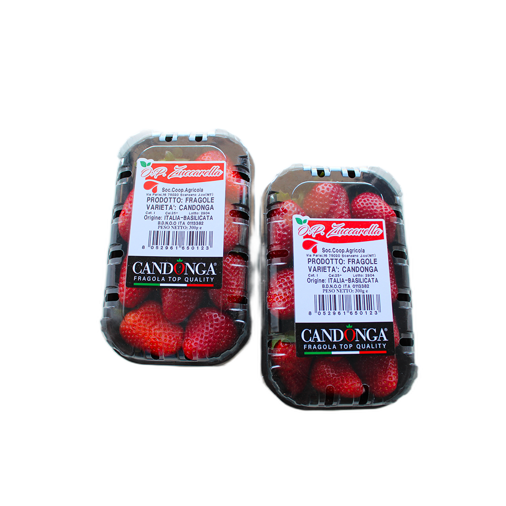 Strawberries CANDONGA TOP QUALITY® Single Layer | 0.4Kg