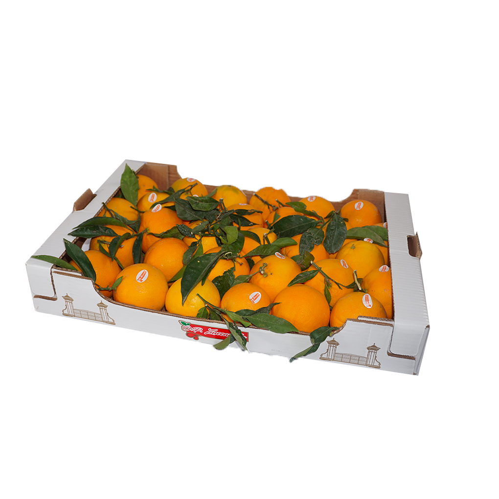 Single Layer Oranges | 6Kg