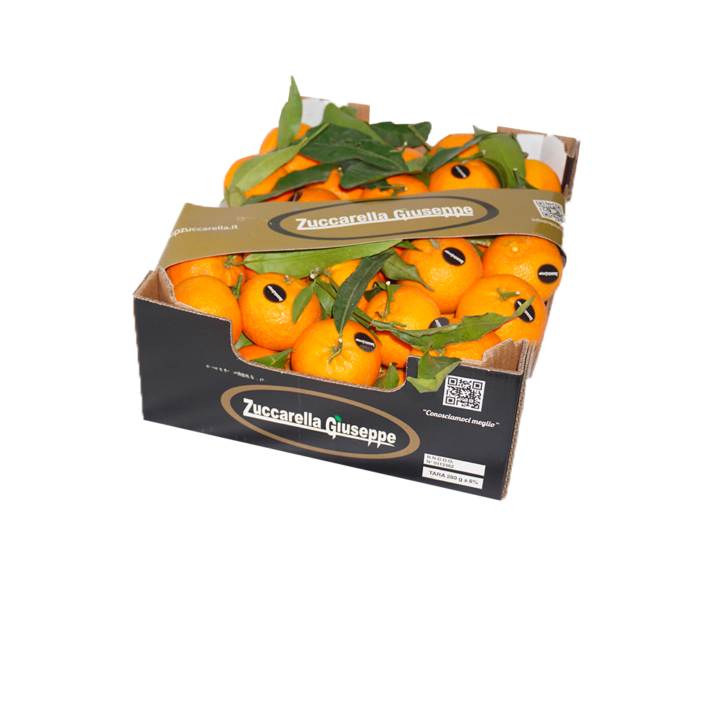 Clementine (Cal 1) | 6Kg