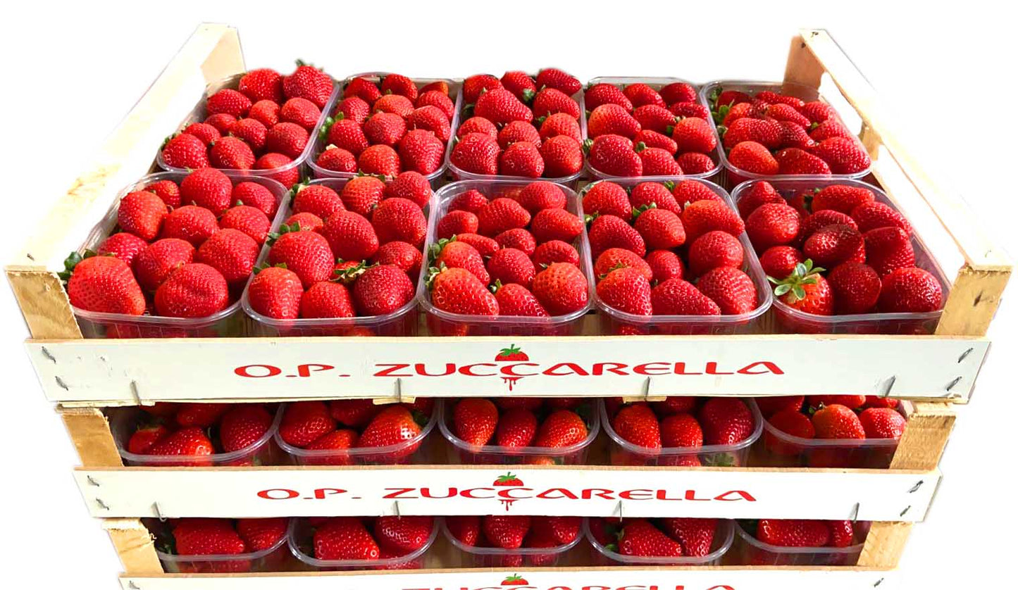 Fragole Basilicata