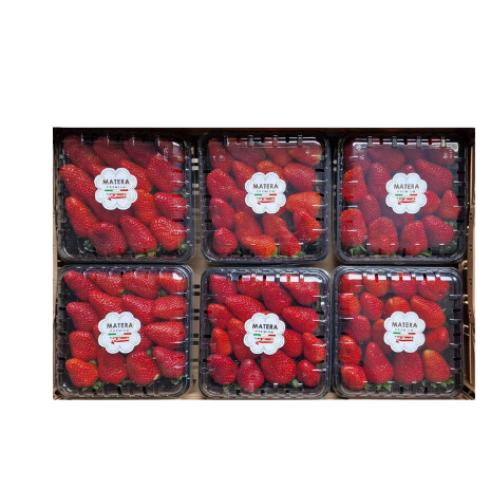Erdbeeren MATERA PREMIUM® Single Layer | 0,6 kg