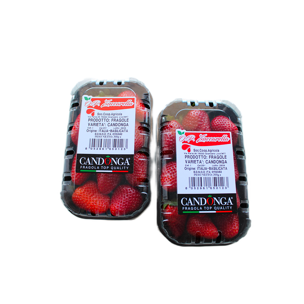 Erdbeeren CANDONGA TOPQUALITÄT® Einlagig | 0,4 kg