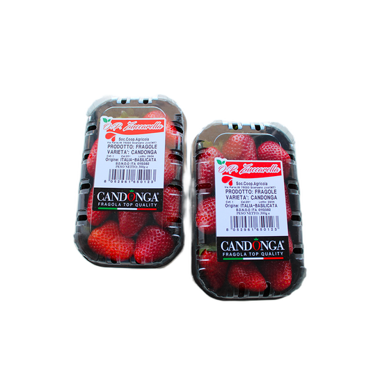 Strawberries CANDONGA TOP QUALITY® Single Layer | 0.4Kg