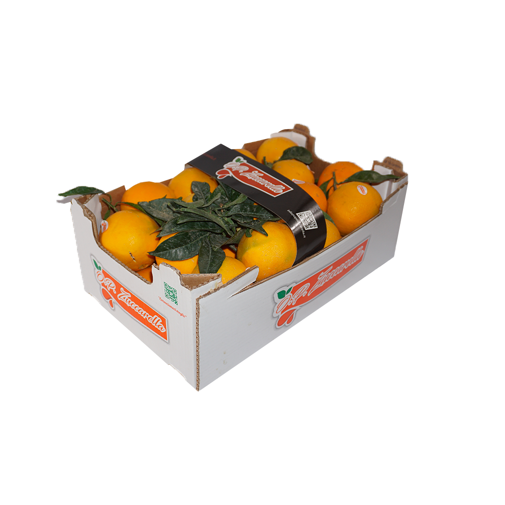 Double Layer Oranges (Cal 2) | 10Kg