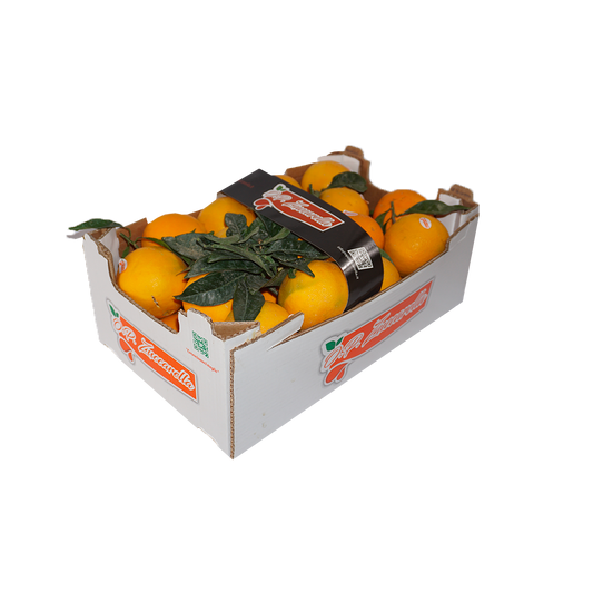 Doppelschichtige Orangen (Kal. 2) | 10 kg
