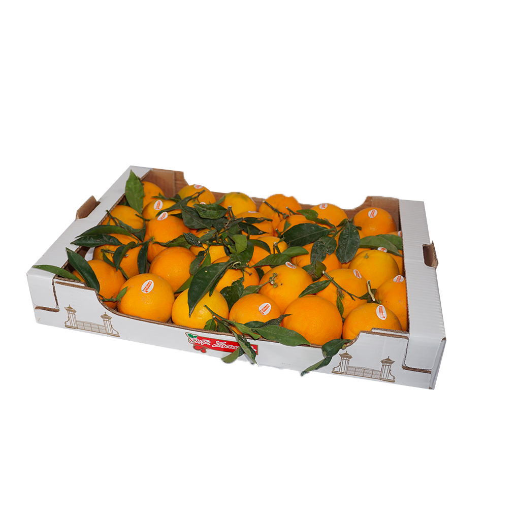 Einschichtige Orangen | 6 kg