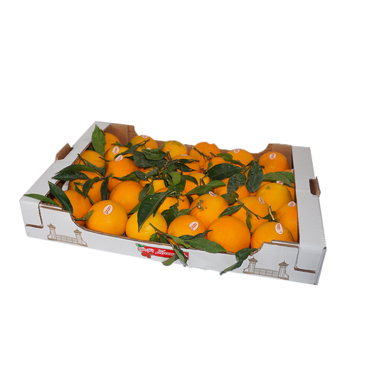 Einschichtige Orangen | 6 kg