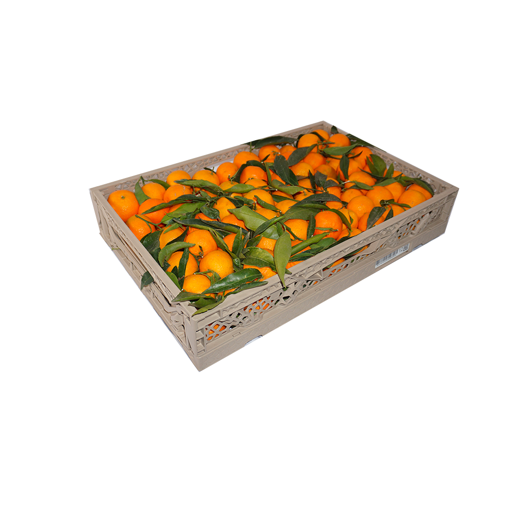 Clementinen in großen Mengen | 10 kg