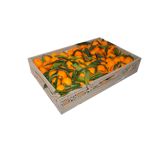 Clementines in bulk | 10Kg
