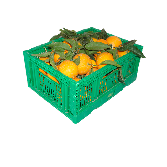 Clementinen in großen Mengen | 5 kg