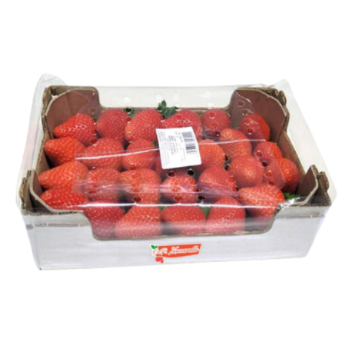 Strawberries OP ZUCCARELLA Single layer | 1.2kg