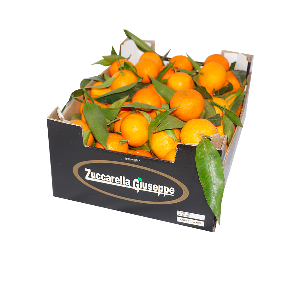 Clementines in bulk | 5Kg