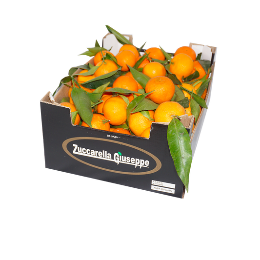 Clementines in bulk | 5Kg